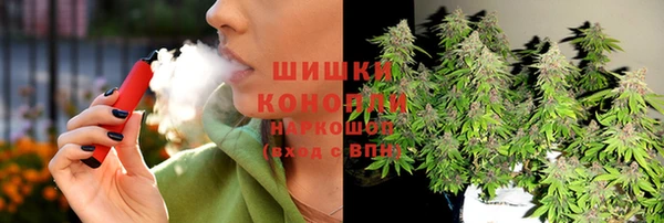 стаф Абаза