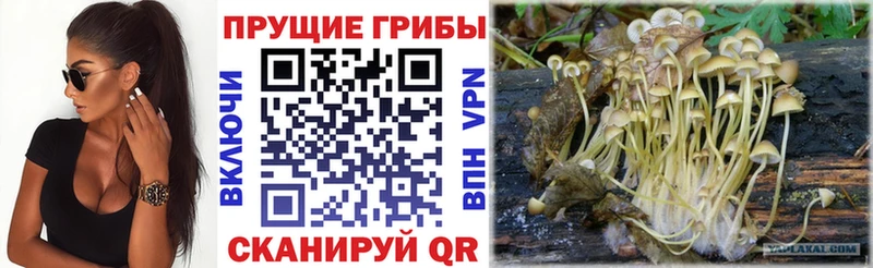 Галлюциногенные грибы MAGIC MUSHROOMS  Суоярви 